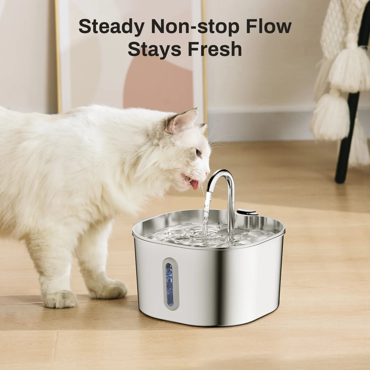 Cat Fountain