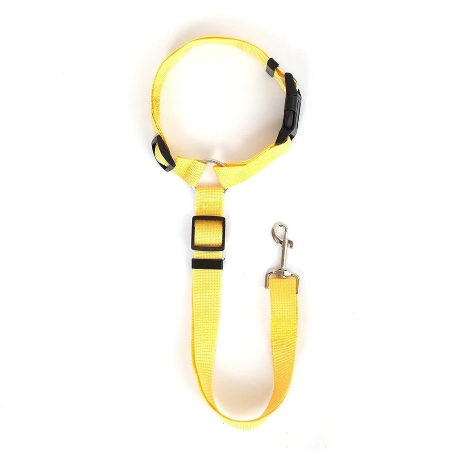 Car Harness