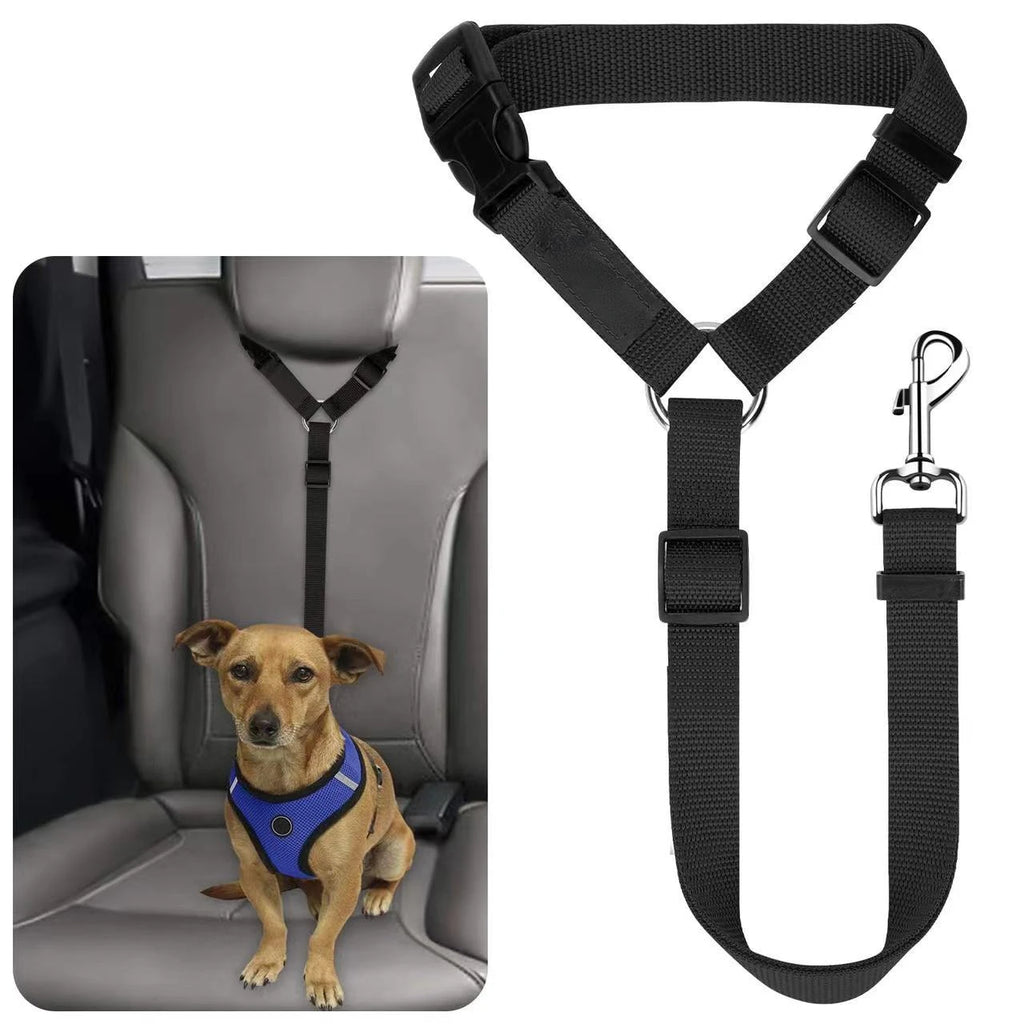 Car Harness