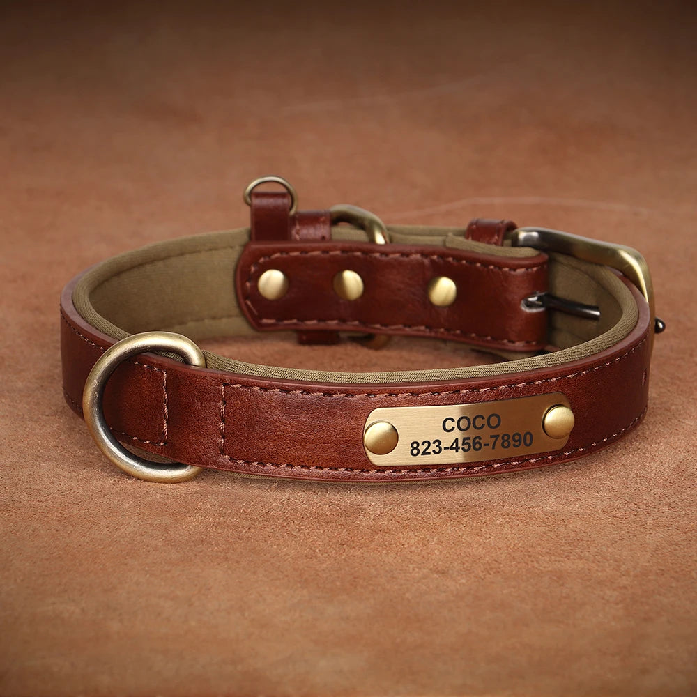 Engraved Collar