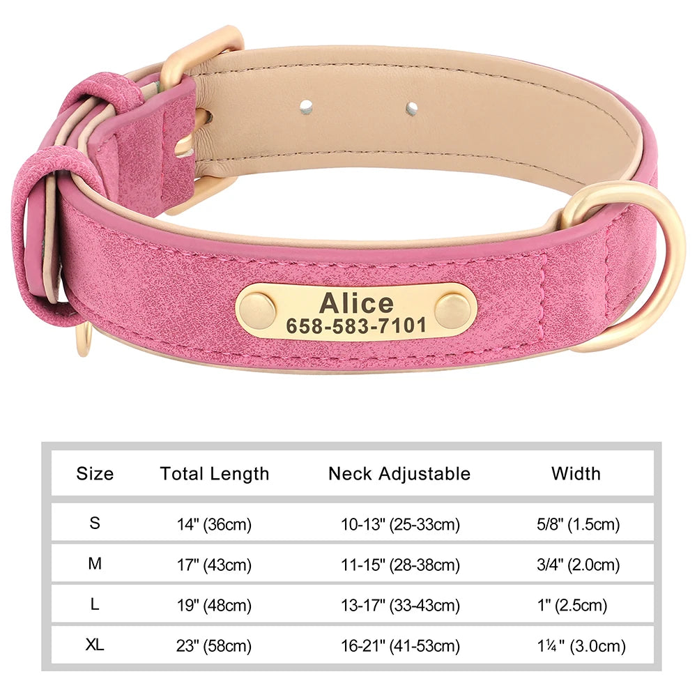 Engraved Collar