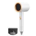 Pet Dryer