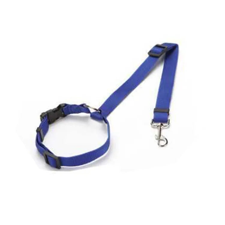 Car Harness
