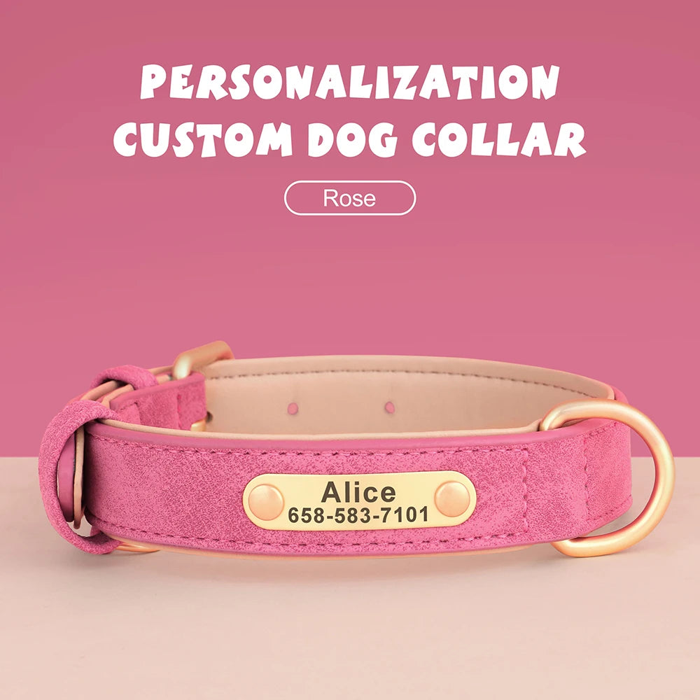 Engraved Collar