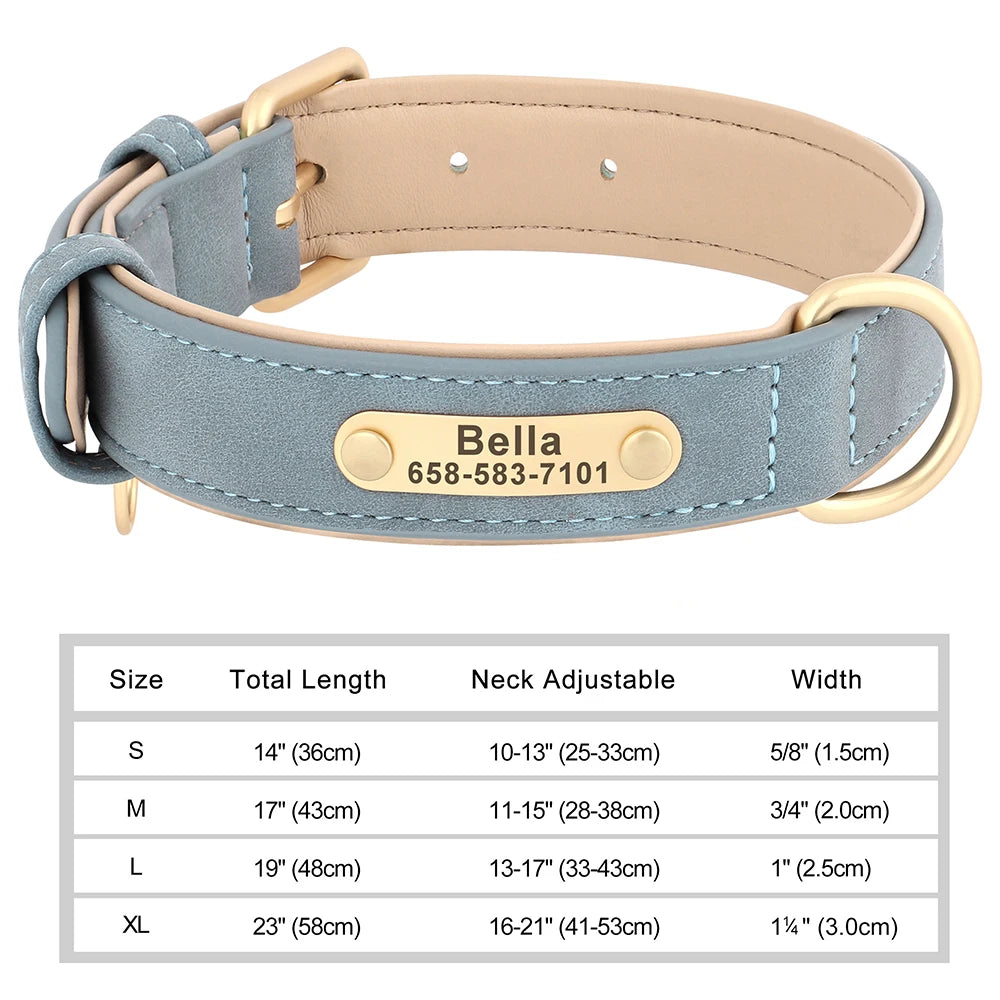 Engraved Collar