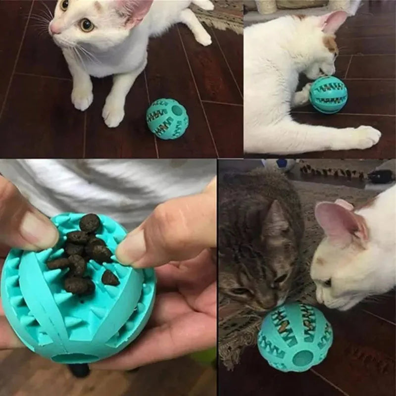 Chew Ball