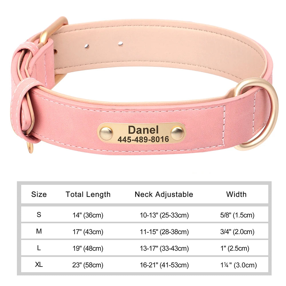 Engraved Collar