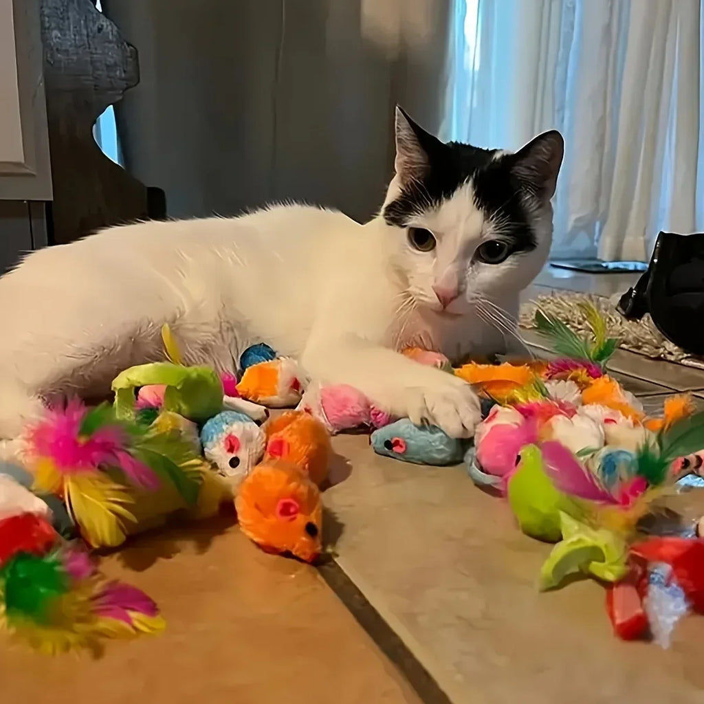 Toy Bundle