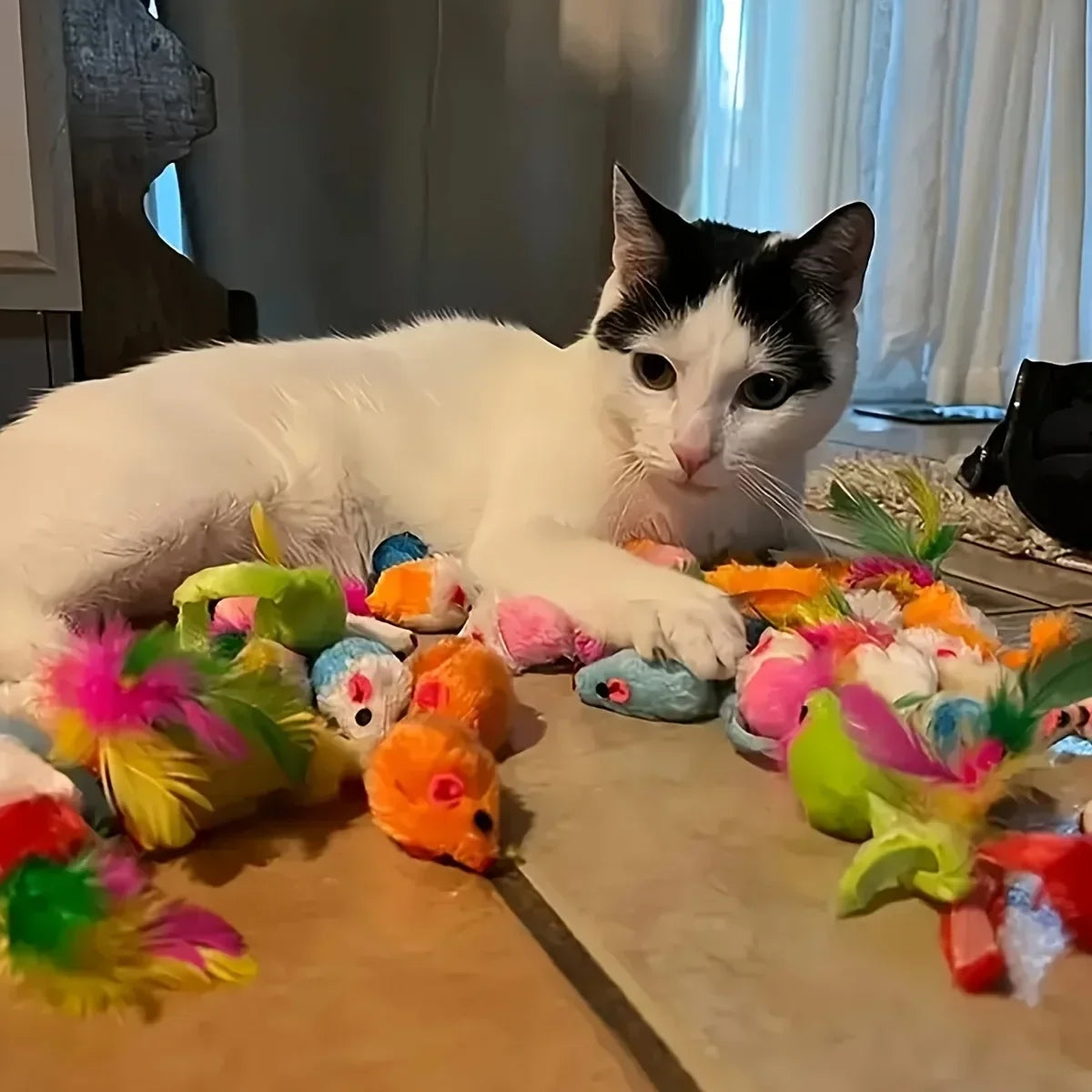 Toy Bundle