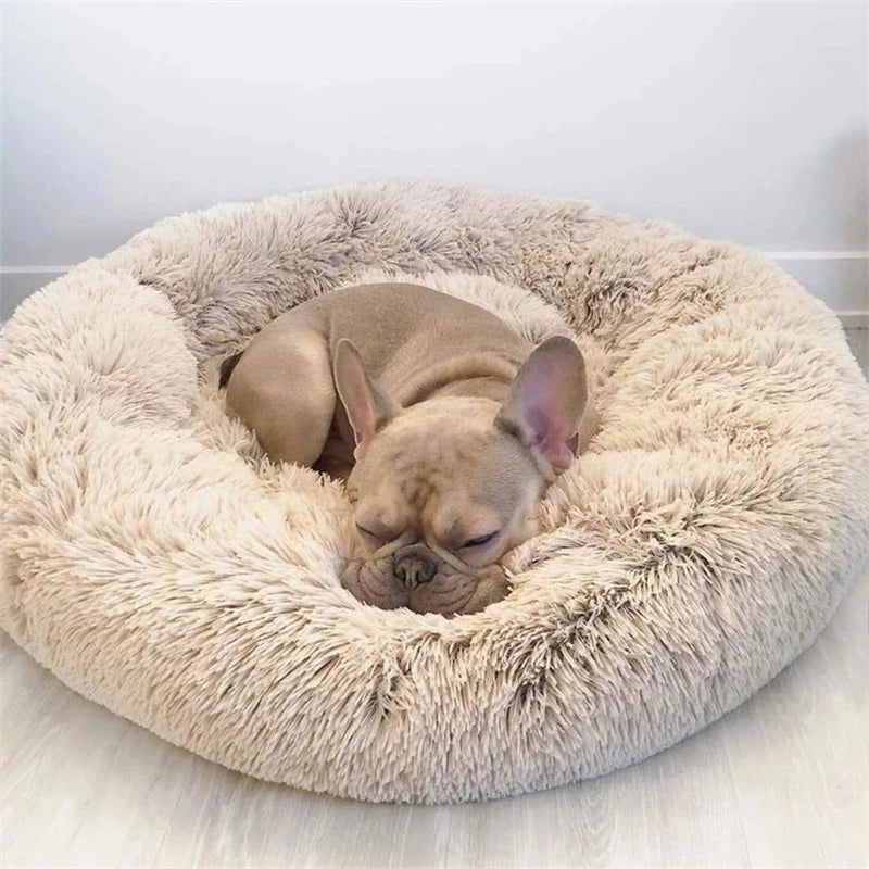 Pet Bed