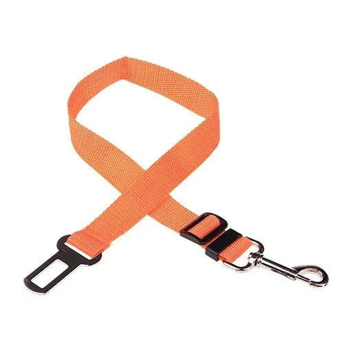 Car Seat Belt