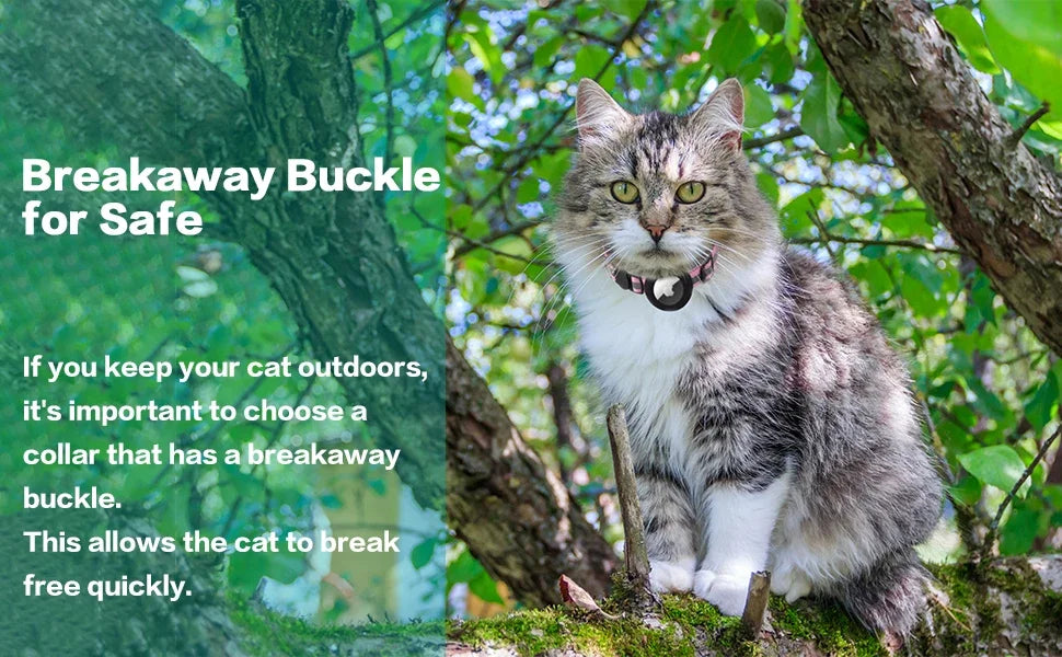 Cat Collar